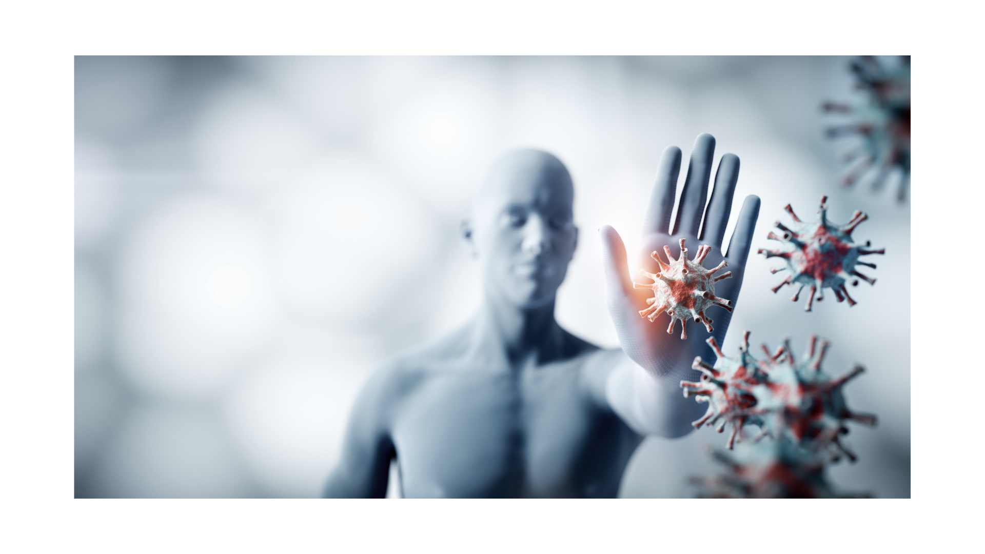 Nutrición y sistema inmune